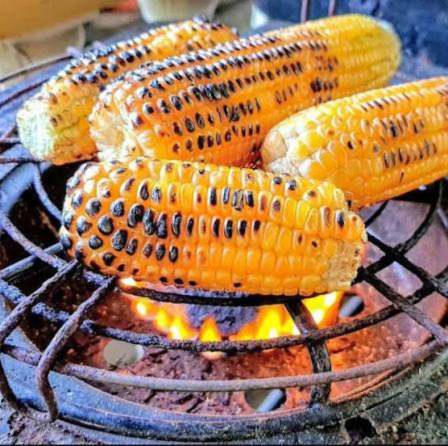 Corns being roasted on a grill