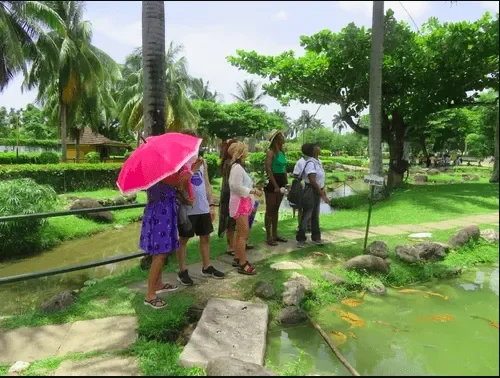 A small group of international tourists on a guided walking tour exploring a lush tropical garden with a koi pond and palm trees during the Roots & Routes excursion.