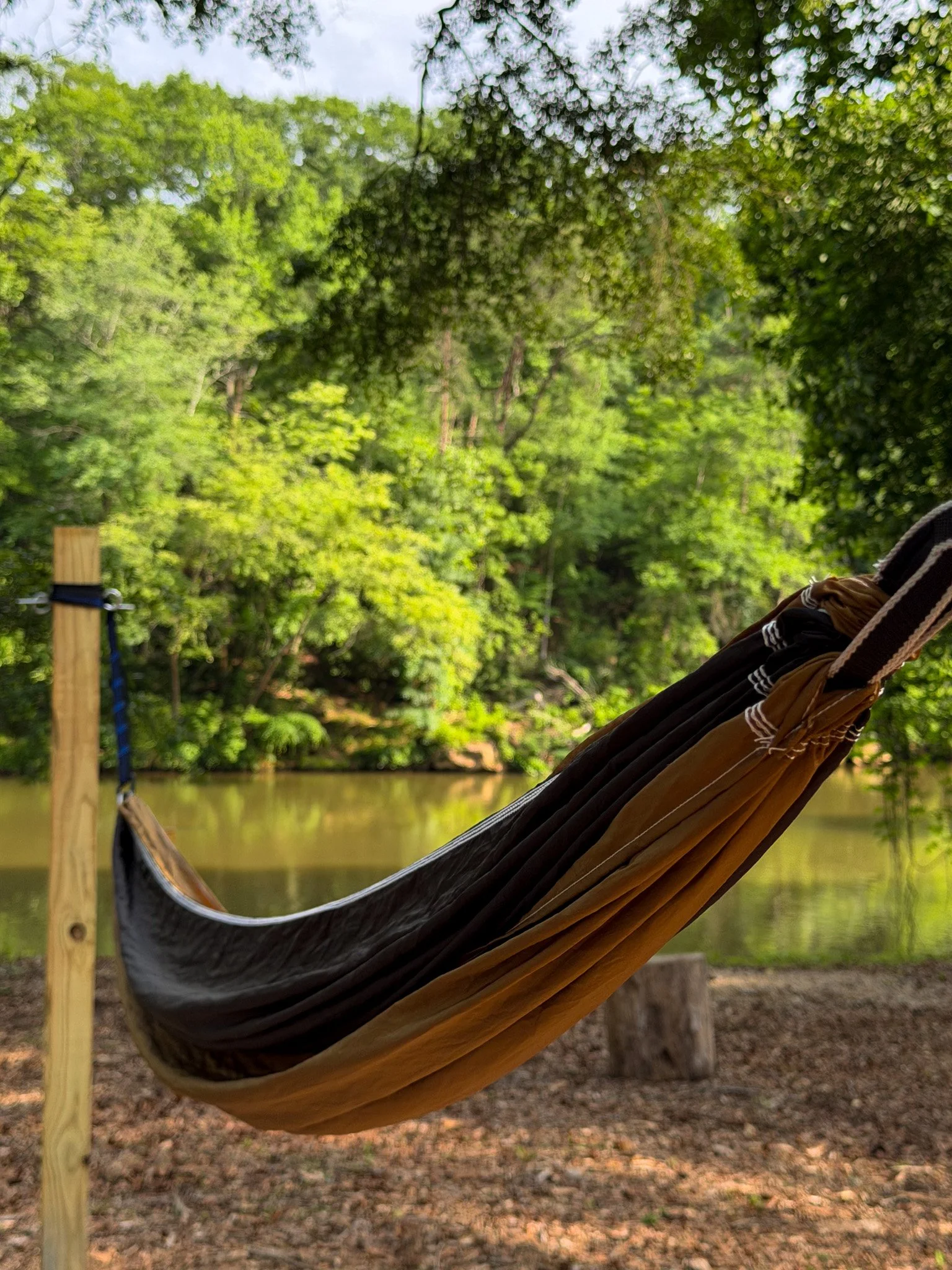 A hammock hanging between wooden posts near a body of water, surrounded by green trees in a wooded outdoor setting.