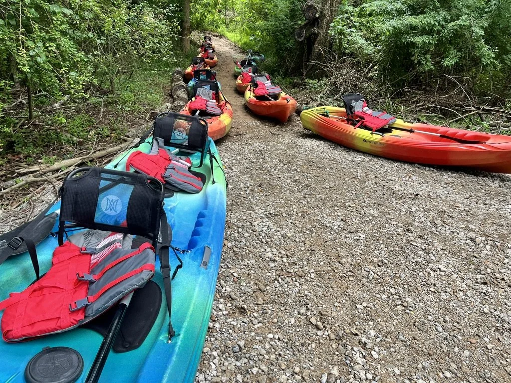 Multiple colorful kayaks with gear lined up on gravel trail in a wooded area.