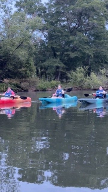 Three people kayaking on a calm river surrounded by trees.
