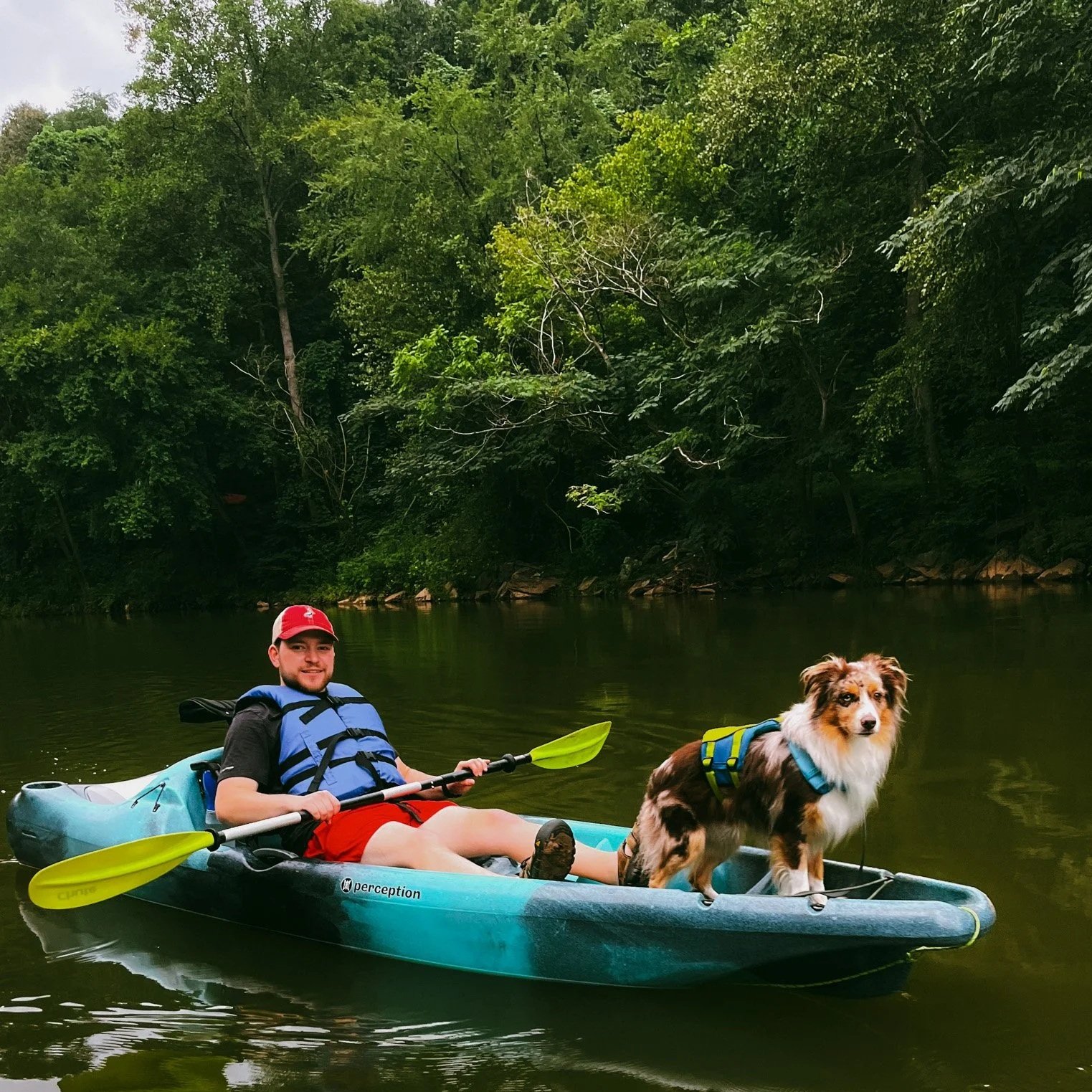 A man in a blue life jacket and red shorts kayaking on a river with a dog in a life jacket, surrounded by lush green trees.