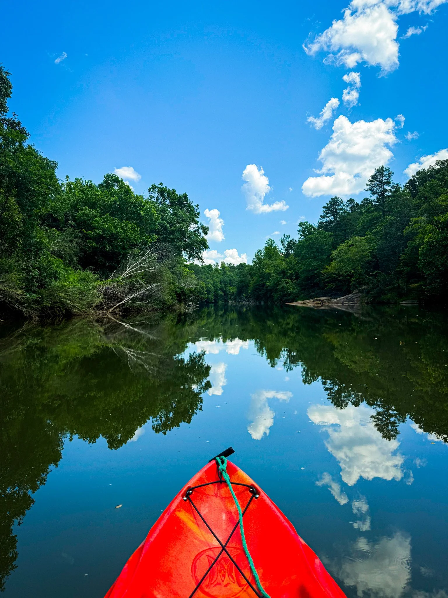 A red kayak on a calm river surrounded by green trees, with a bright blue sky and white clouds reflected on the water, viewed from the kayak's front.