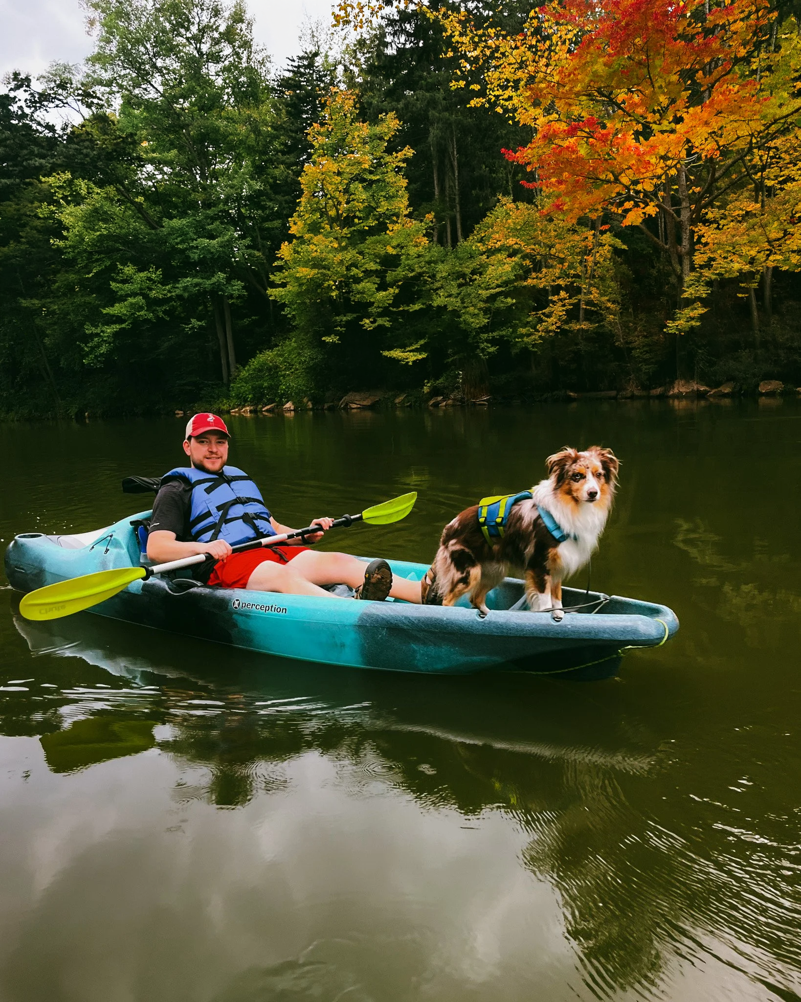 A young man in a paddle kayak with a black kayak paddle, wearing a red cap and a blue life jacket, paddling with a dog sitting at the front of the kayak on a calm river surrounded by trees with autumn leaves.