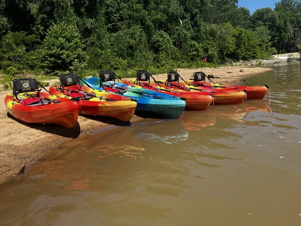 Six colorful kayaks, four red and two blue, are lined up on a sandy beach by a river, with lush green trees in the background.