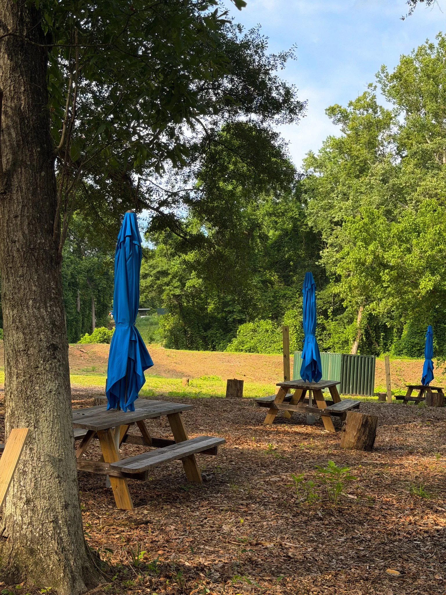 Outdoor seating area with wooden picnic tables and blue umbrellas set among trees with green foliage, on a dirt ground.