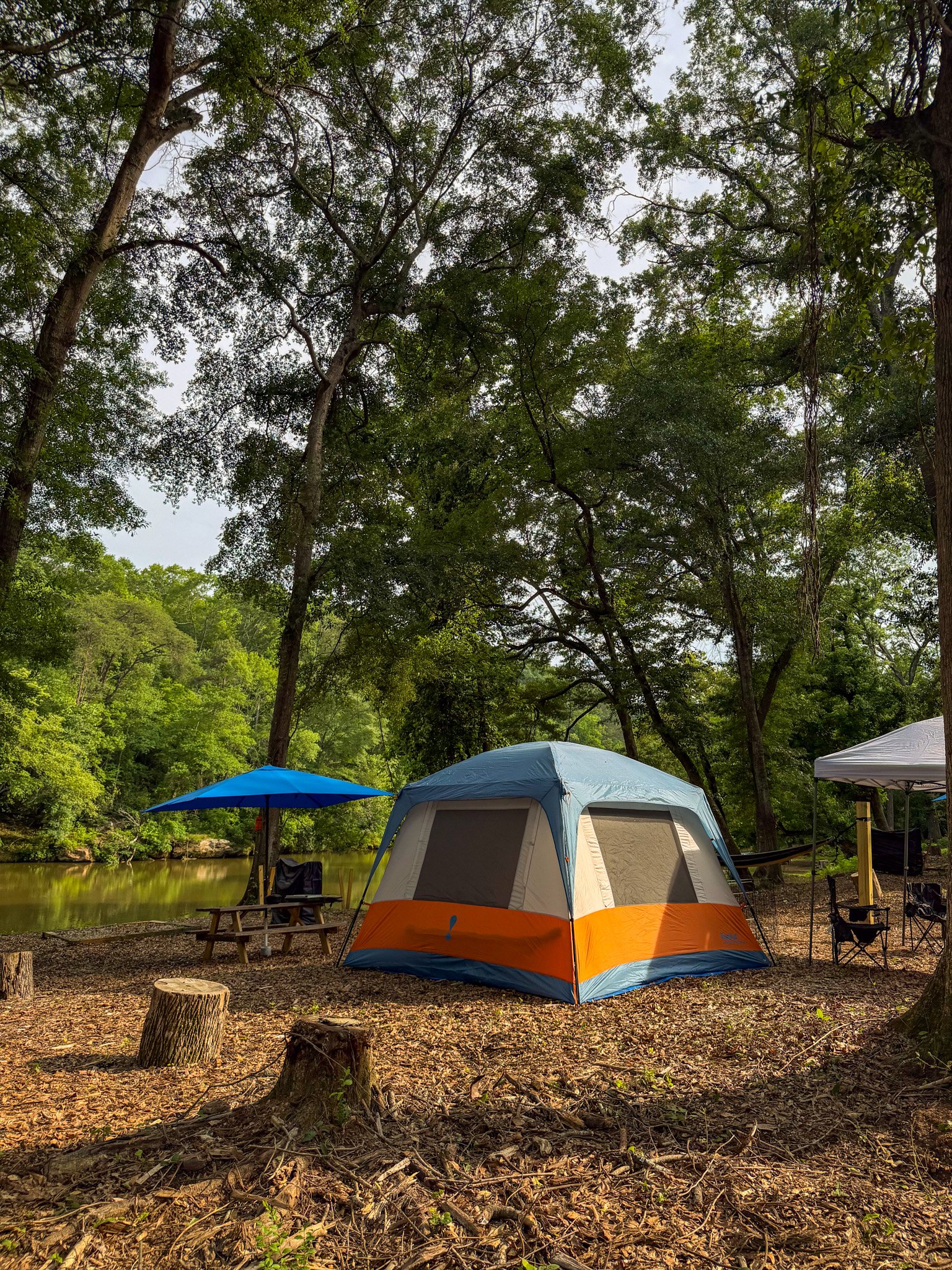 A camping scene in a forest with tents, a picnic table, chairs, umbrellas, and a river in the background, surrounded by greenery and tall trees.