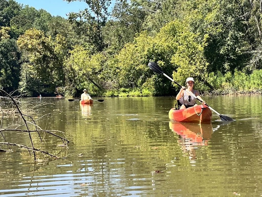 Two people kayaking on a calm river surrounded by lush green trees on a sunny day.