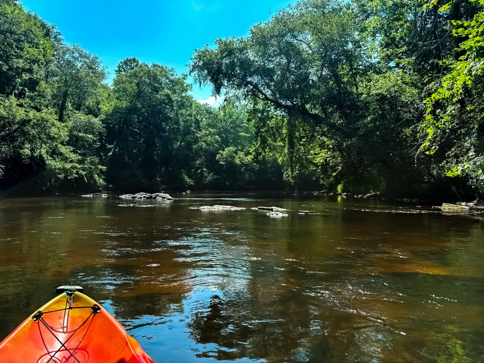 Kayak on a river surrounded by dense green trees under a bright blue sky.