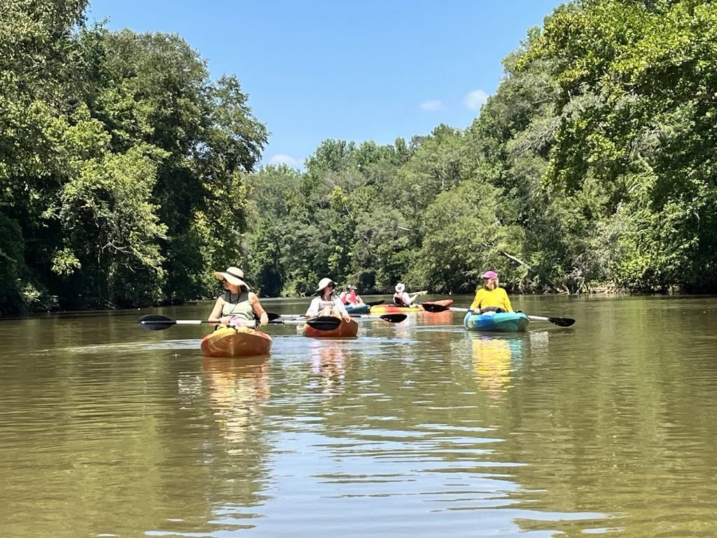 Group of people kayaking on a river surrounded by green trees on a clear day.
