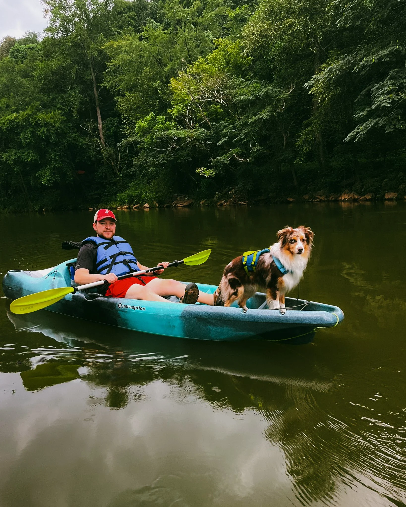 A man and a dog in a kayak on a river surrounded by trees.