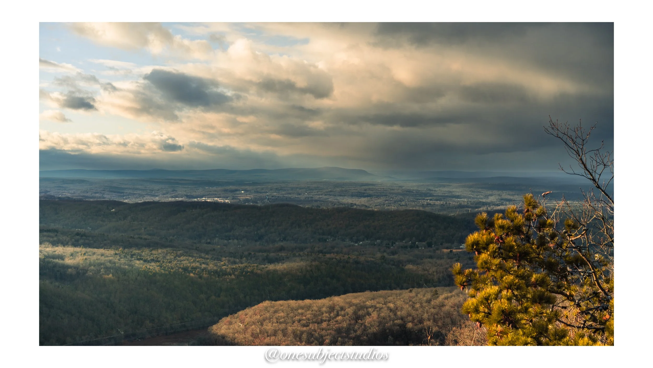 A7406118-Edit.jpg