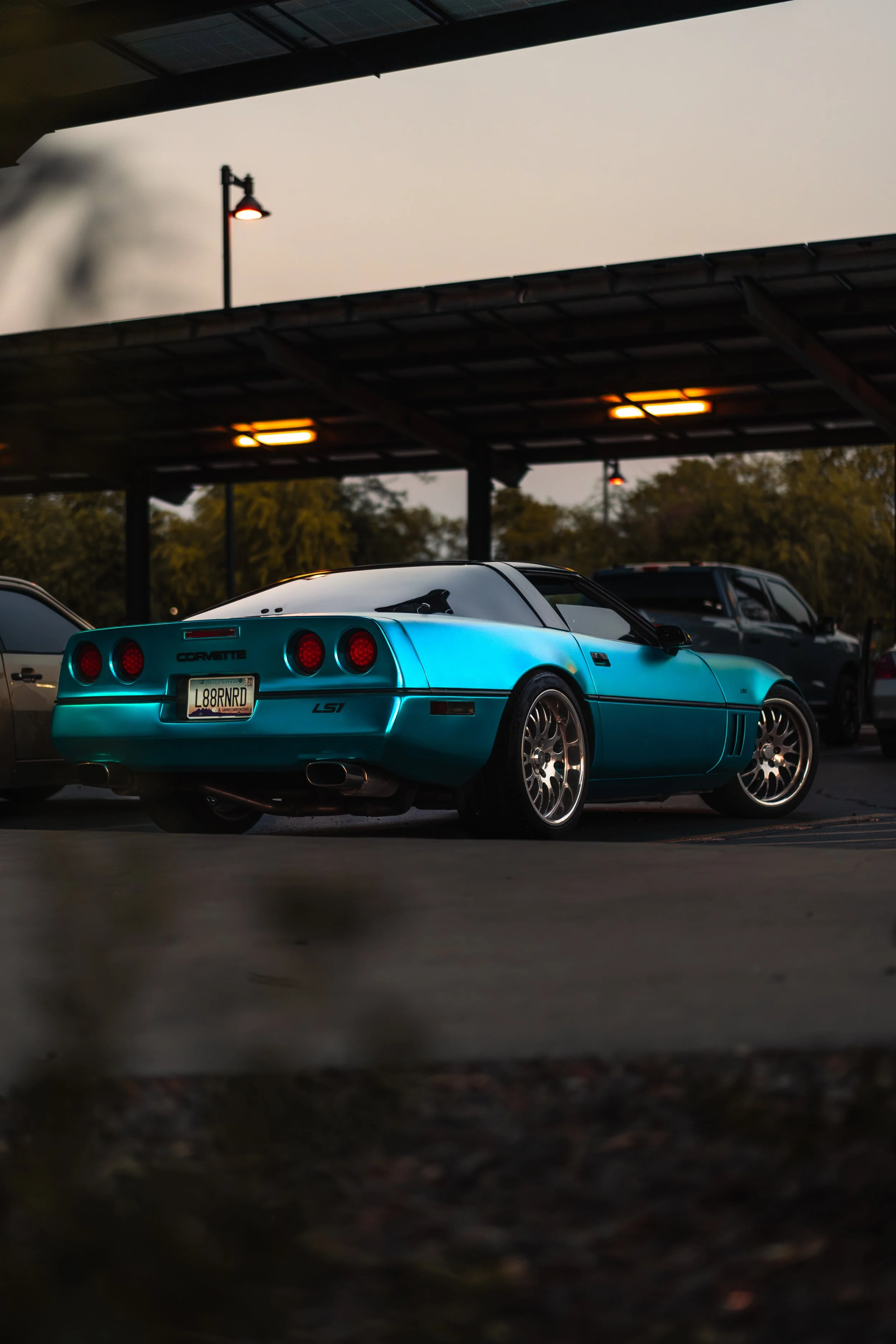 A7407347-Enhanced-NR.jpg