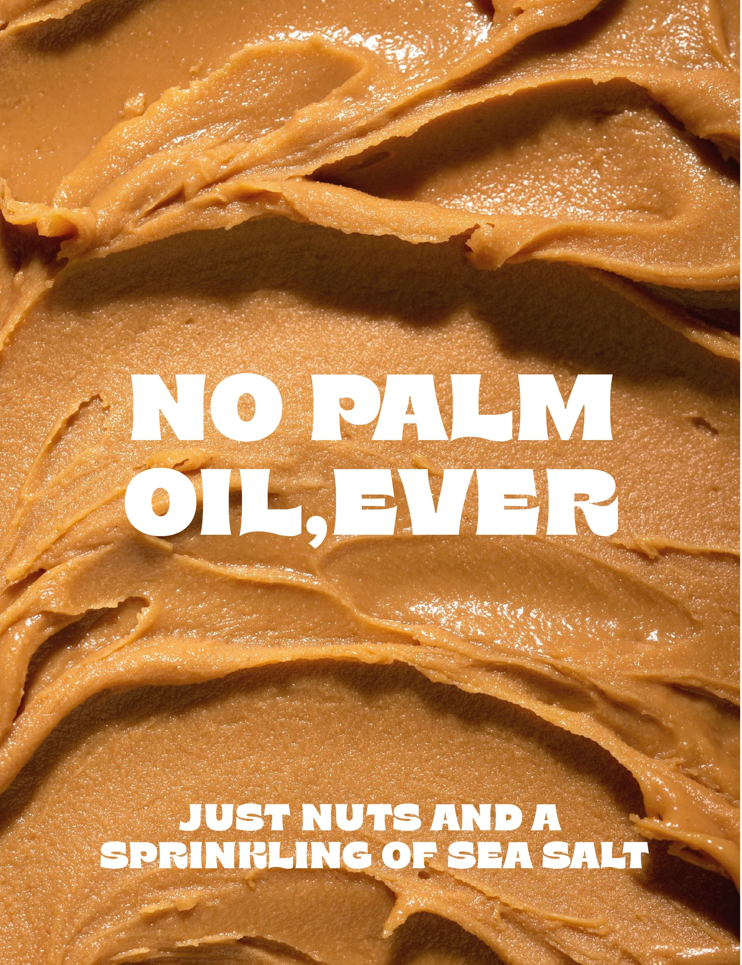 Bright-By-Name-Design-Creative-Direction-Branding-Packaging-Design-work-Topnut-4.jpg