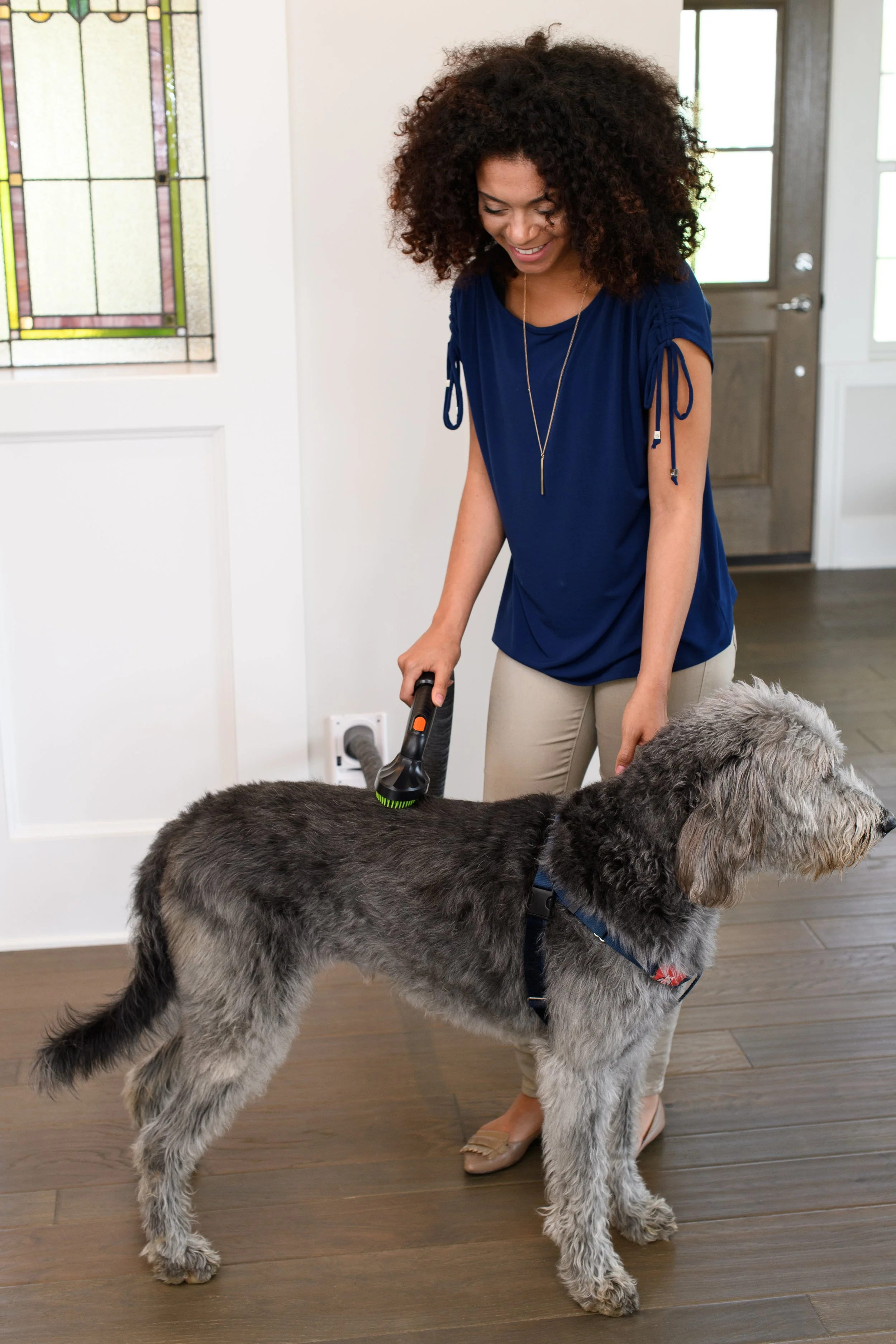 Pet Tool Dog.jpg