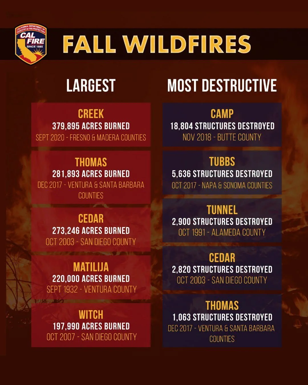Fall  Is Here!