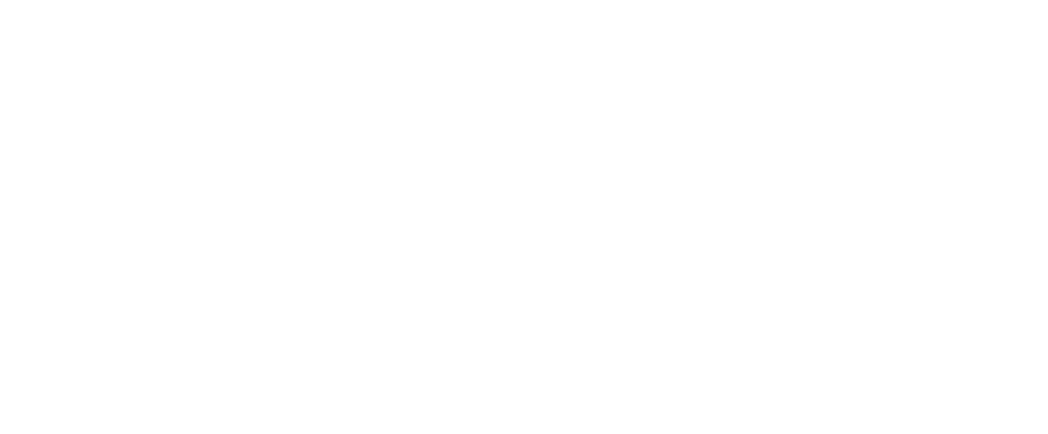 American Authentic Nutrition (Copy)