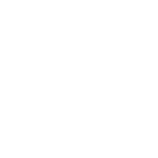 airplane icon