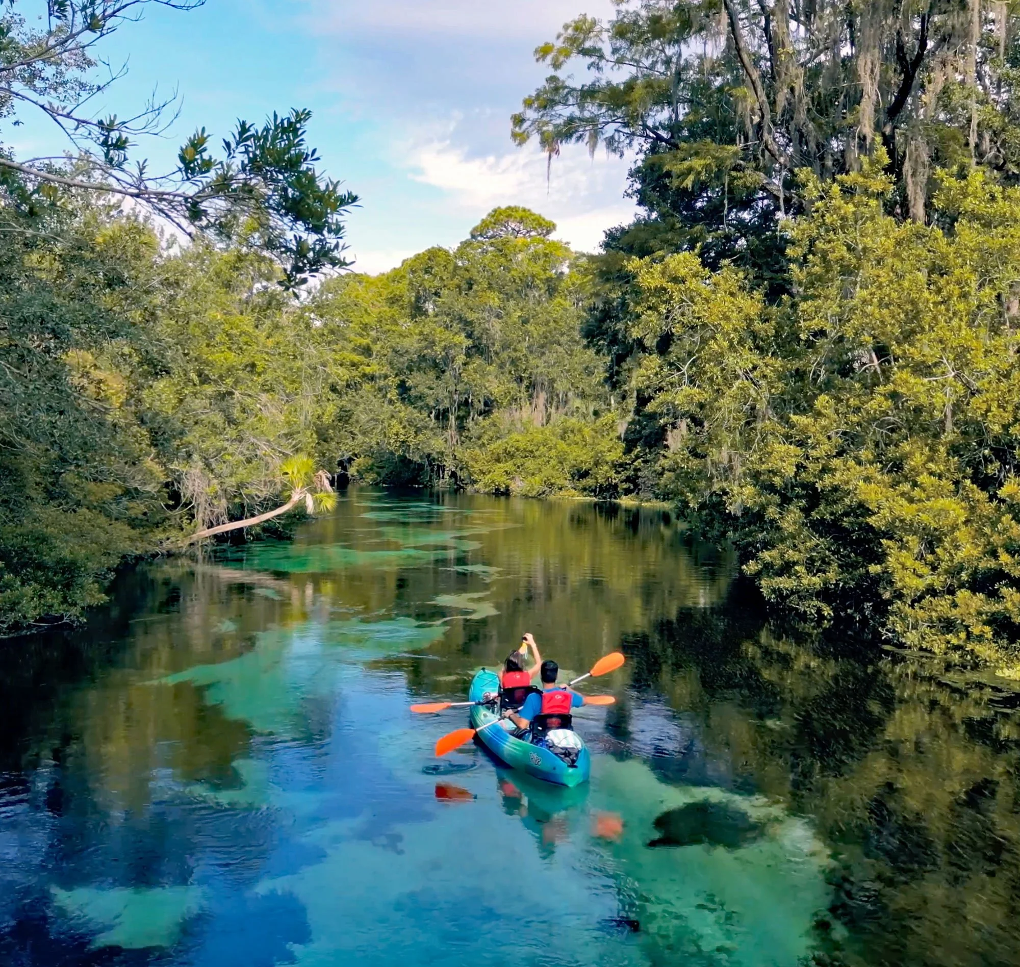 people kayaking on a river