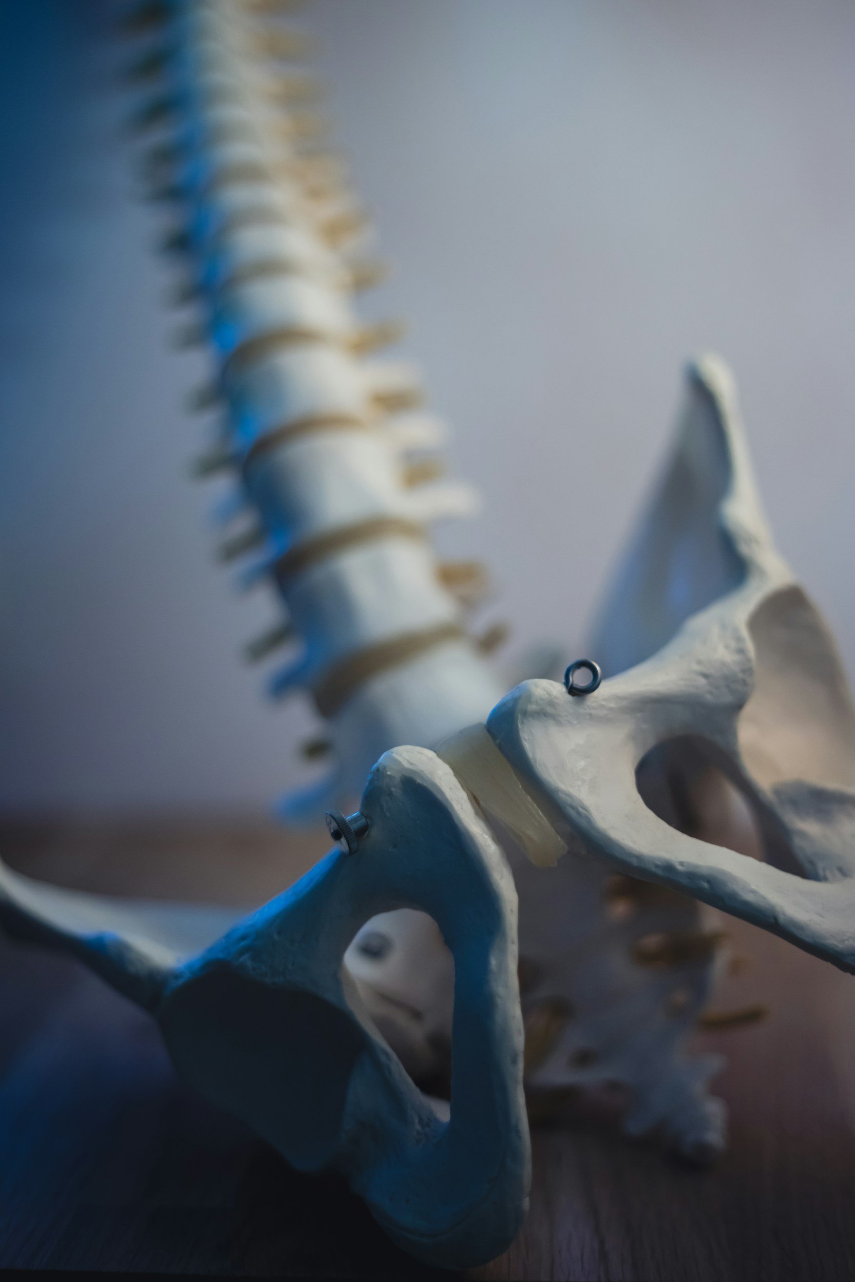 What Is The Pelvic Floor?