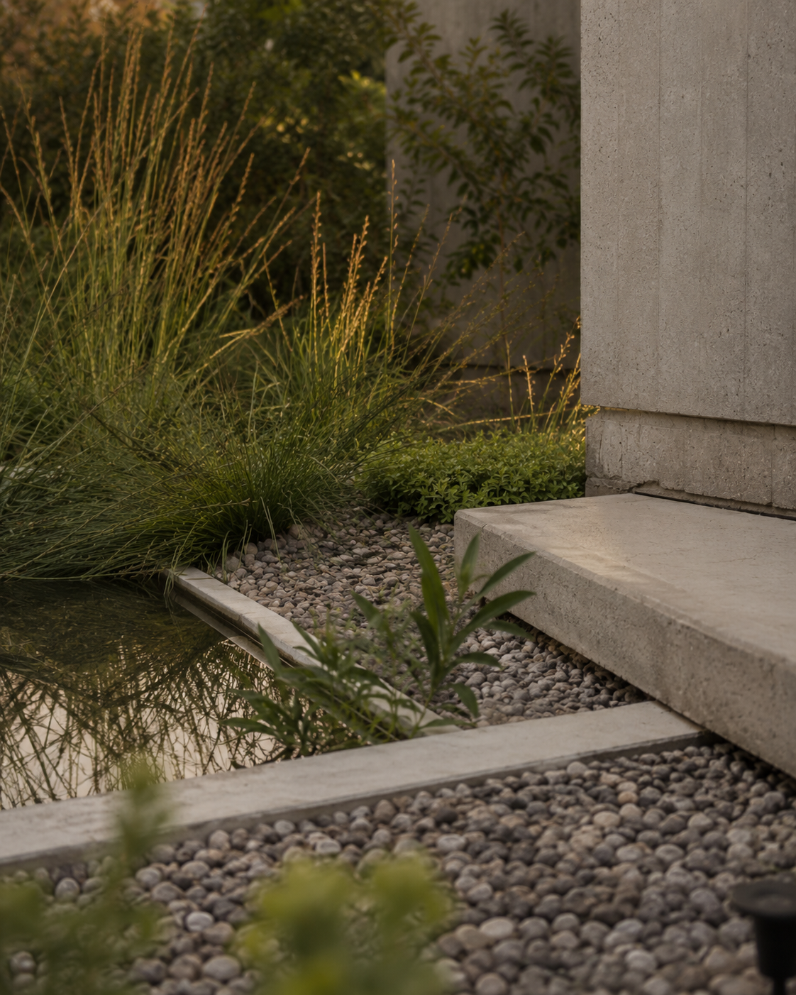 Close-up of a modern garden with ornamental grasses, small shrubs, and a pond, bordered by concrete and gravel, next to a concrete wall.