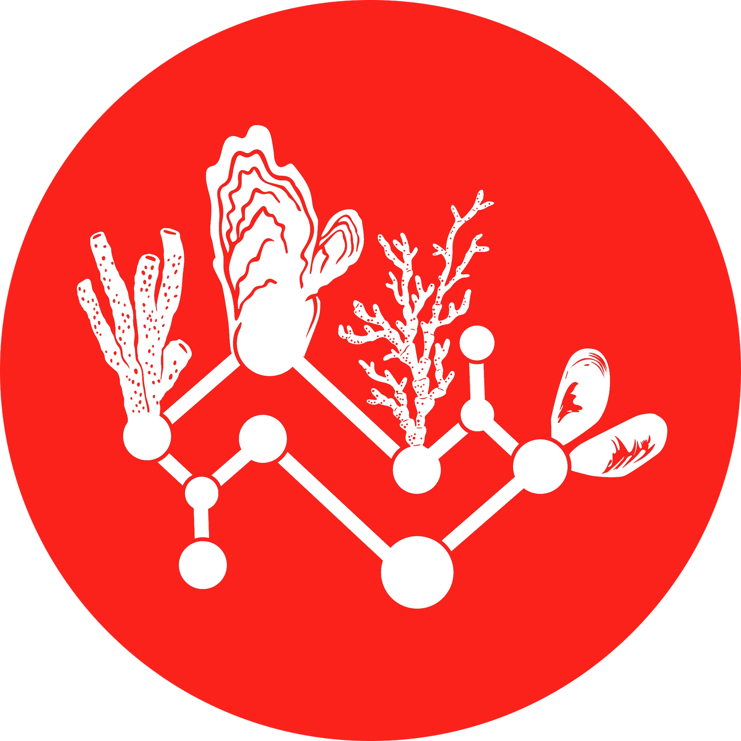 Grow Reefs
