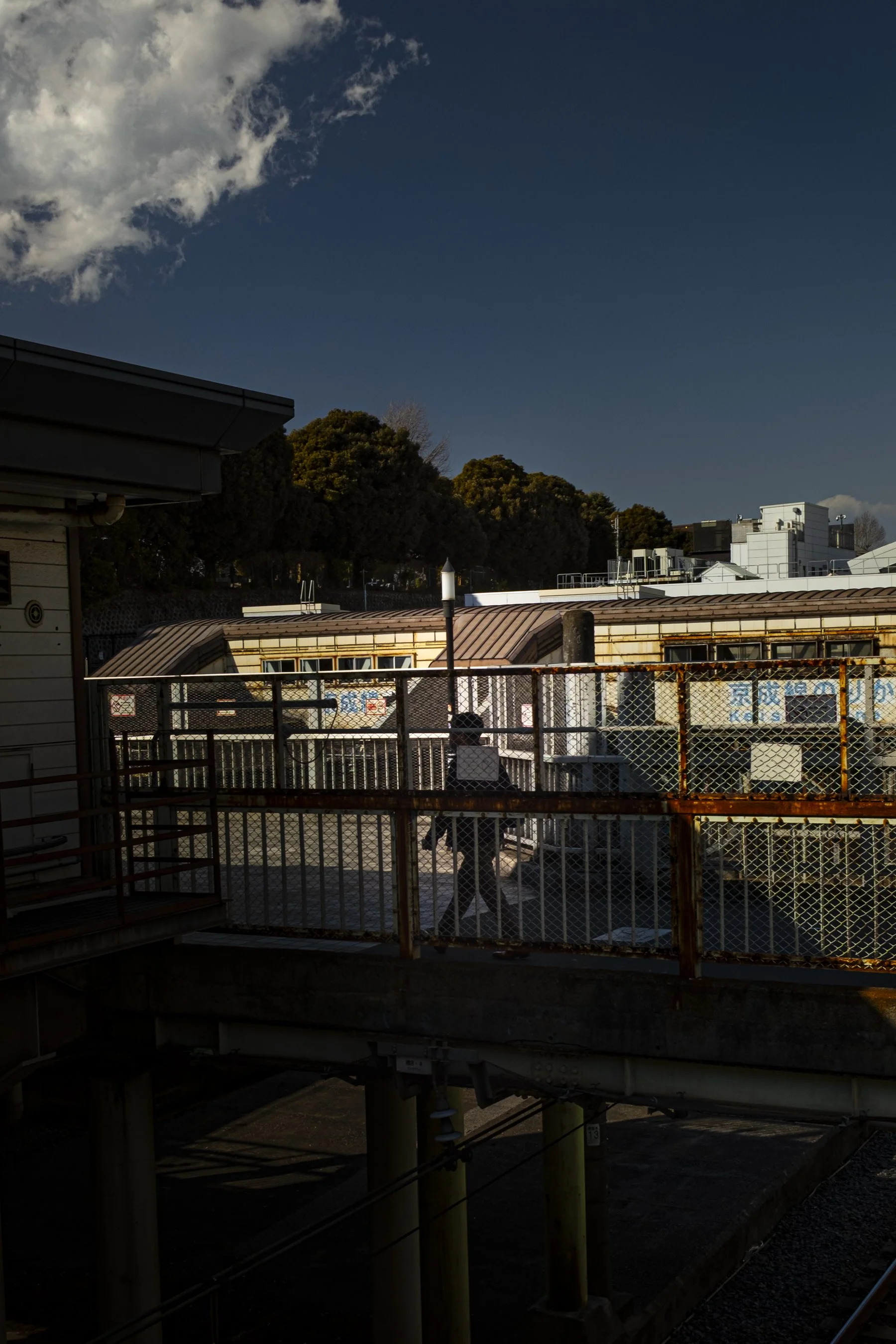 Japan Trips (3 of 12).jpg