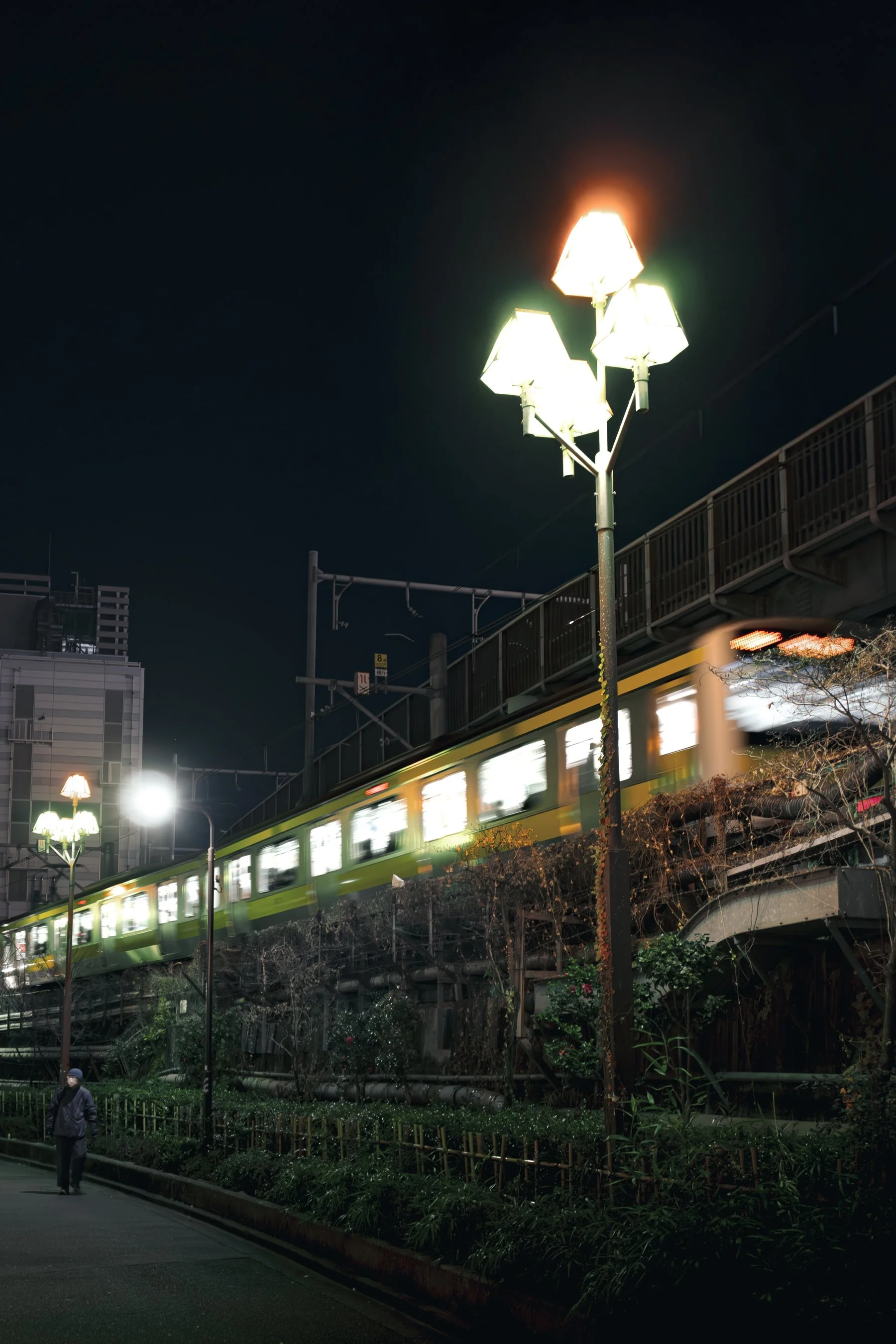 Japan Trips-7568.jpg
