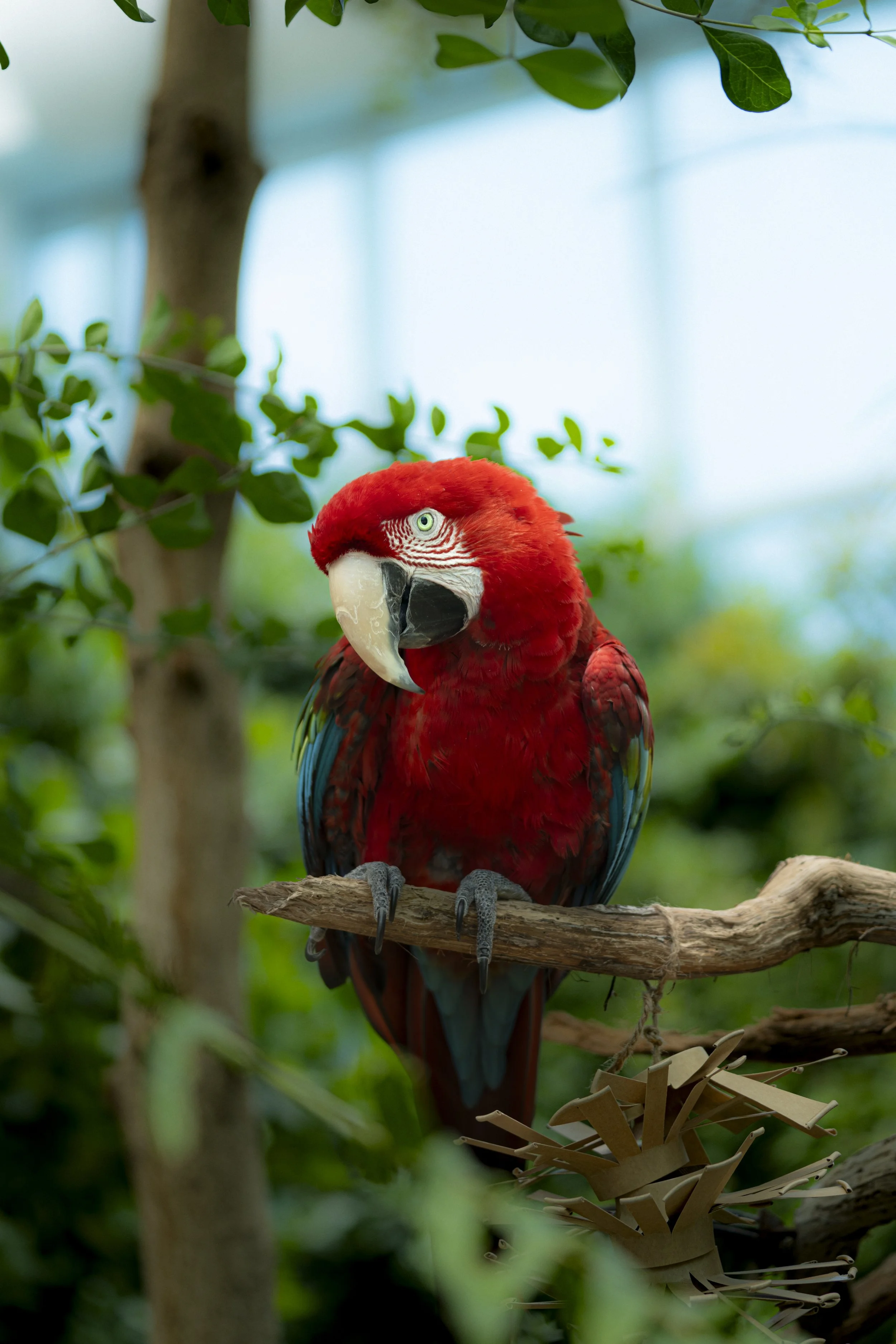 _DSC8955.jpg