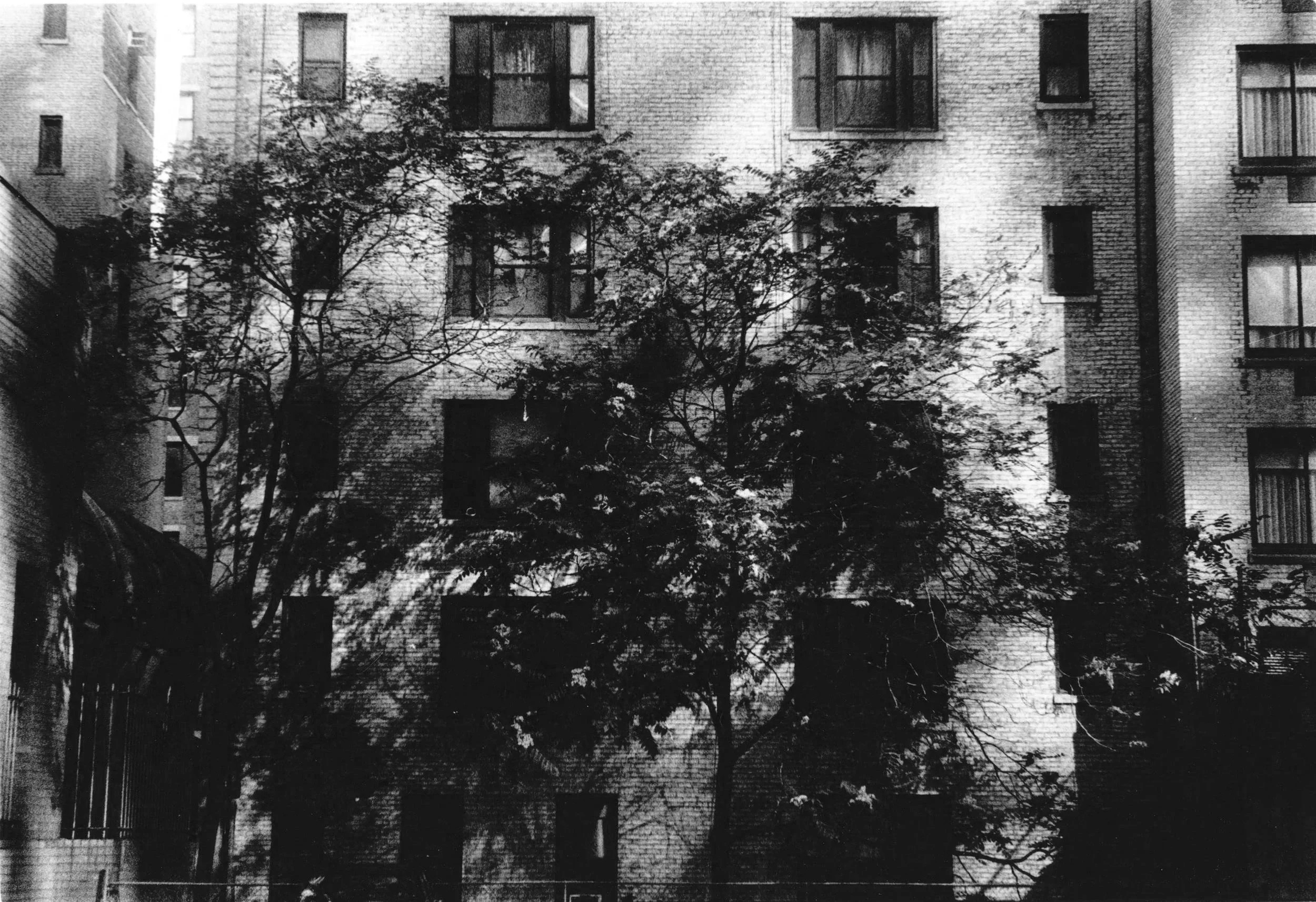film - 35 mm