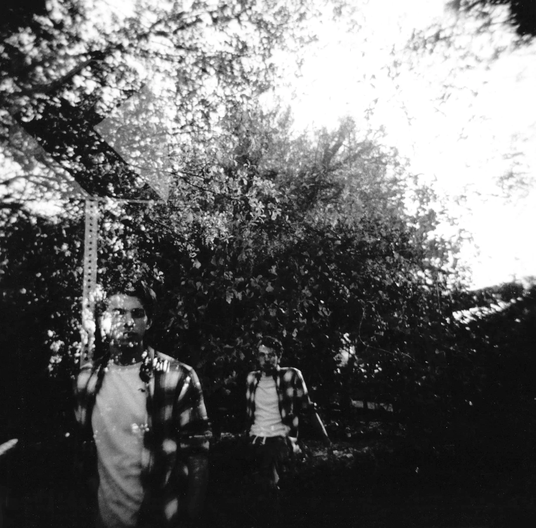 film - medium format