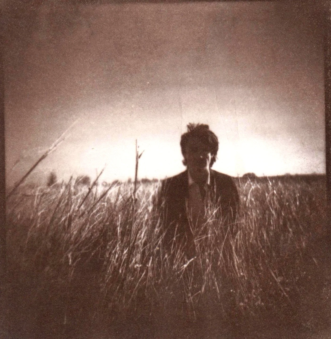 film - medium format - van dyke brown