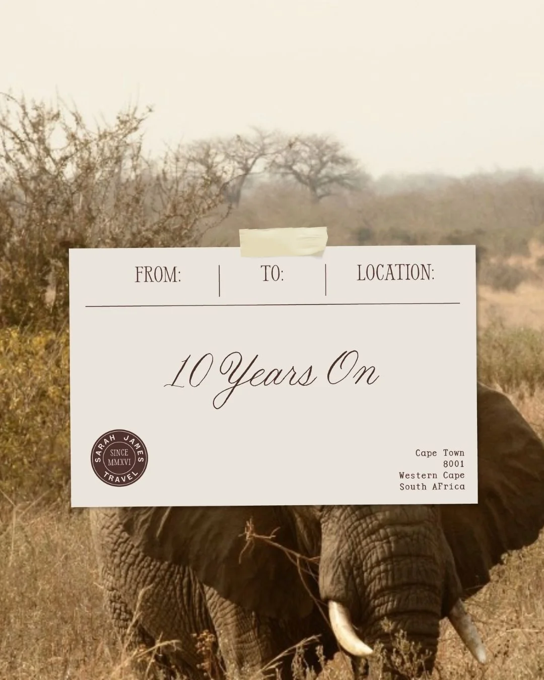 10 Years On