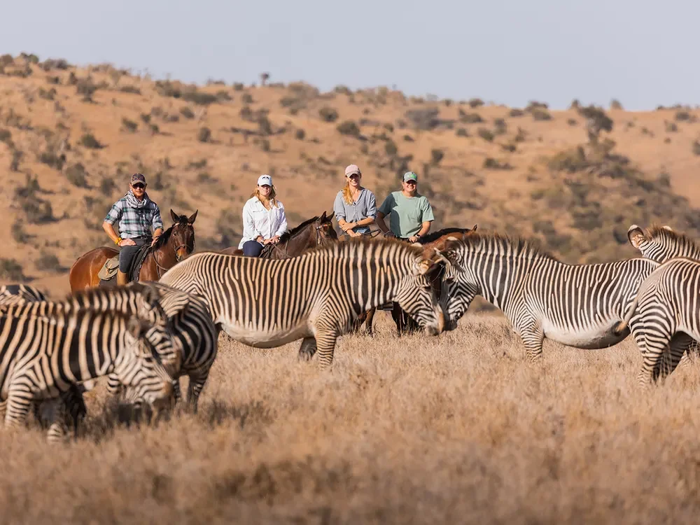 lewa-horses-with-zebra-2.webp
