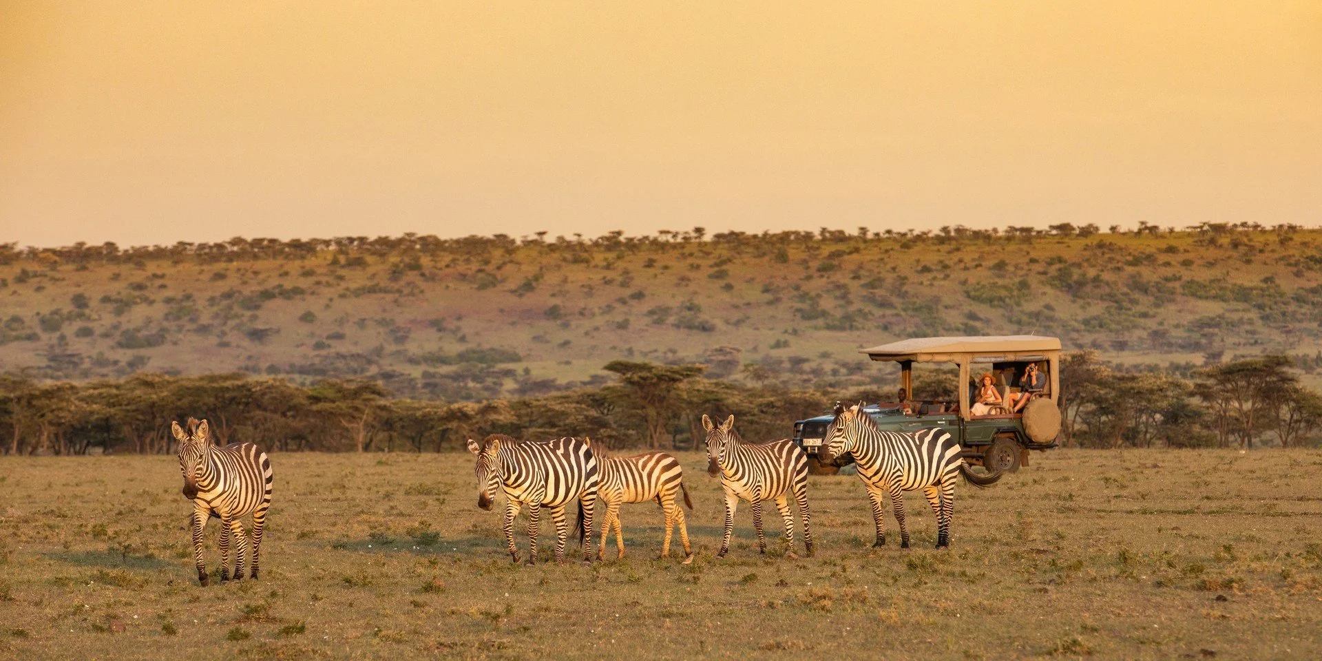 zebras-masaimara-widescreen-2to1.jpg