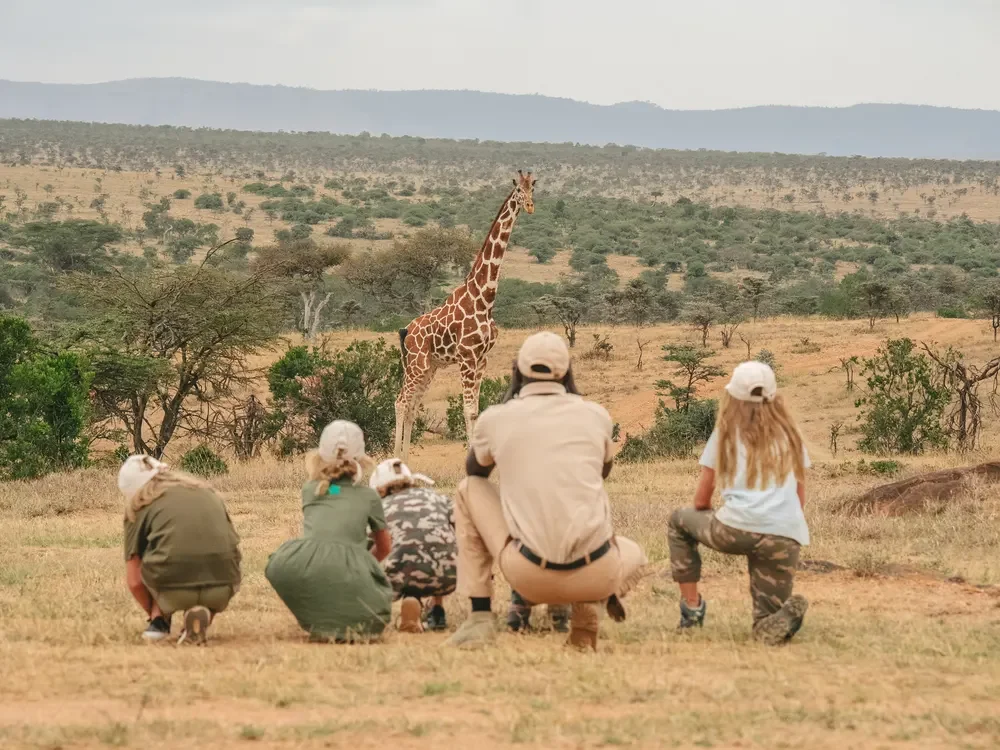 walking-safari-sjt-website.webp