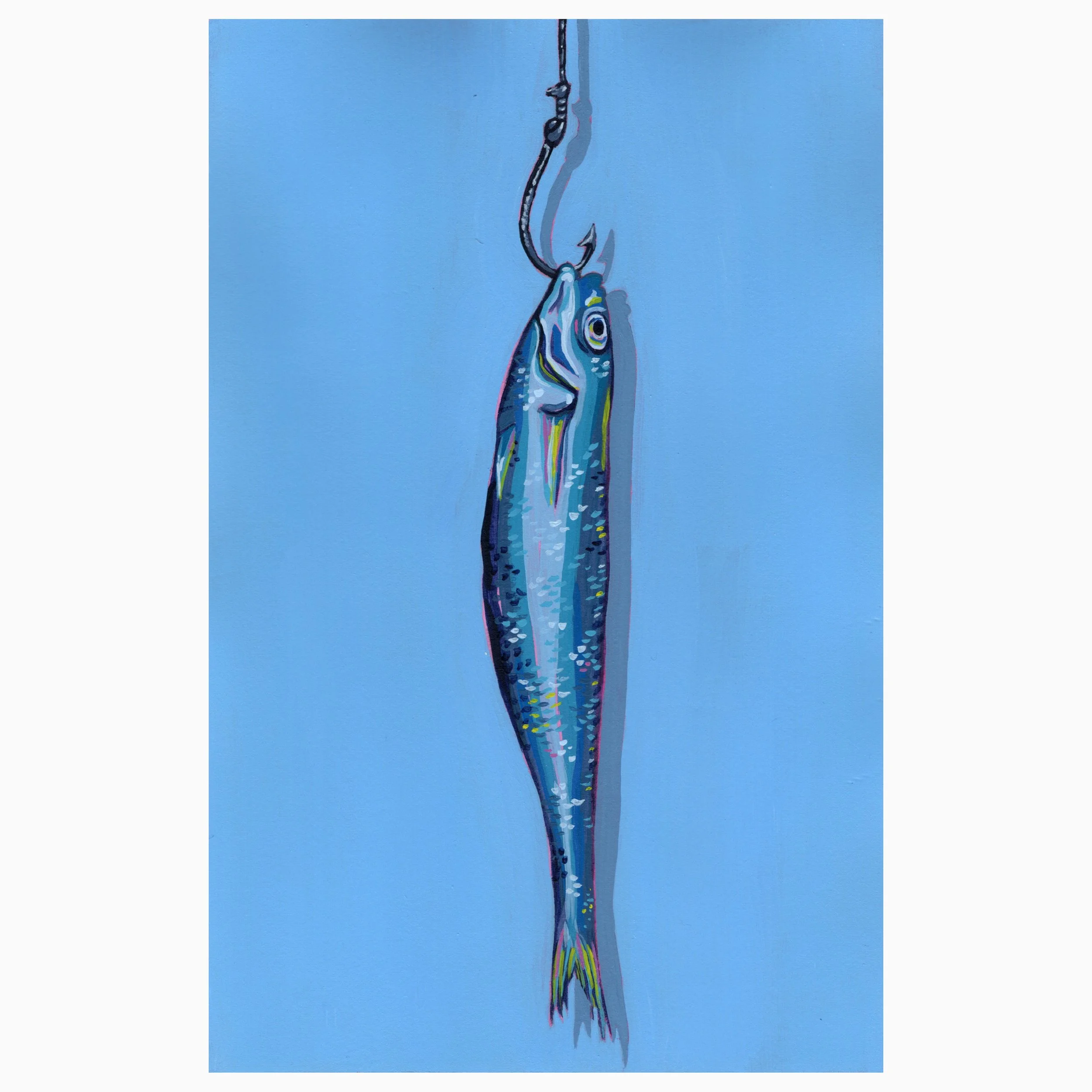 Blue Bait Fish