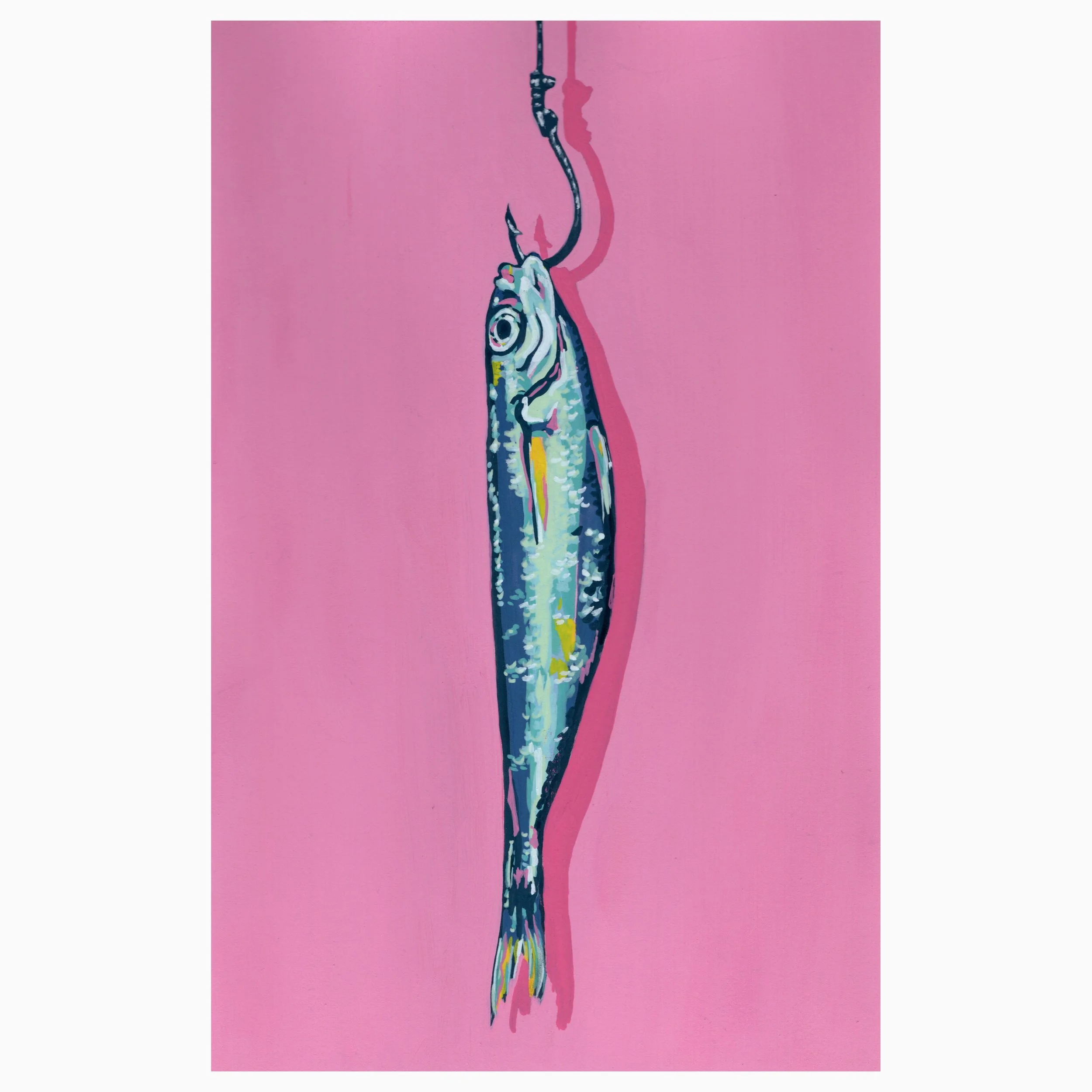 Pink Bait Fish