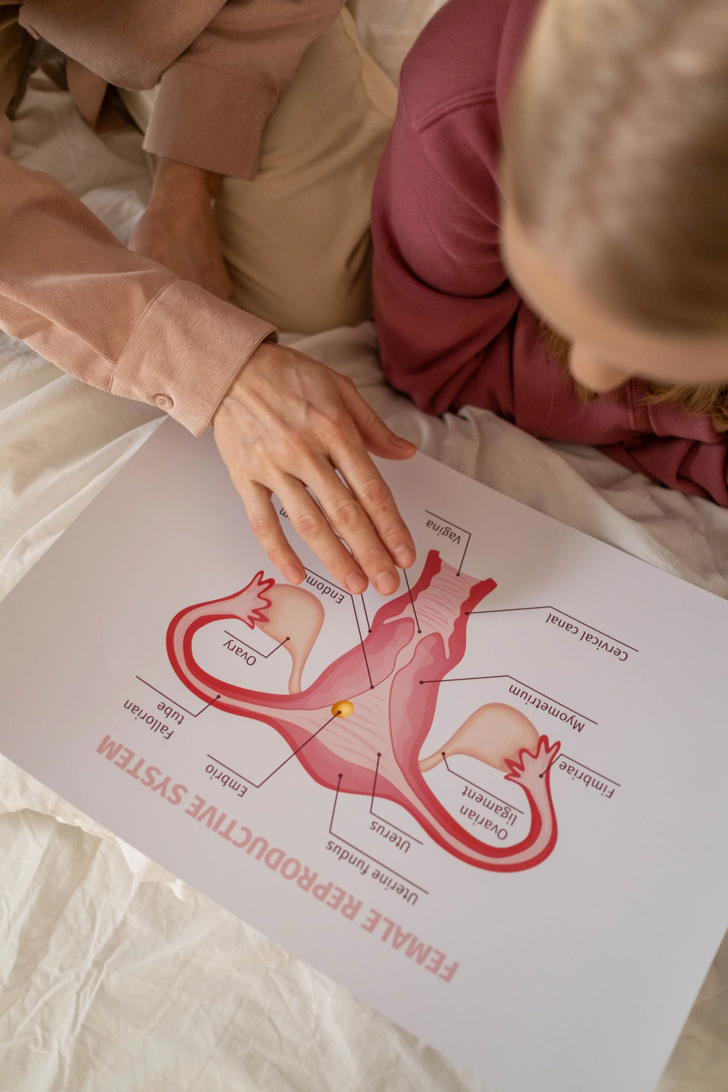 Integrative Pelvic Floor Therapy Evaluation — $225
