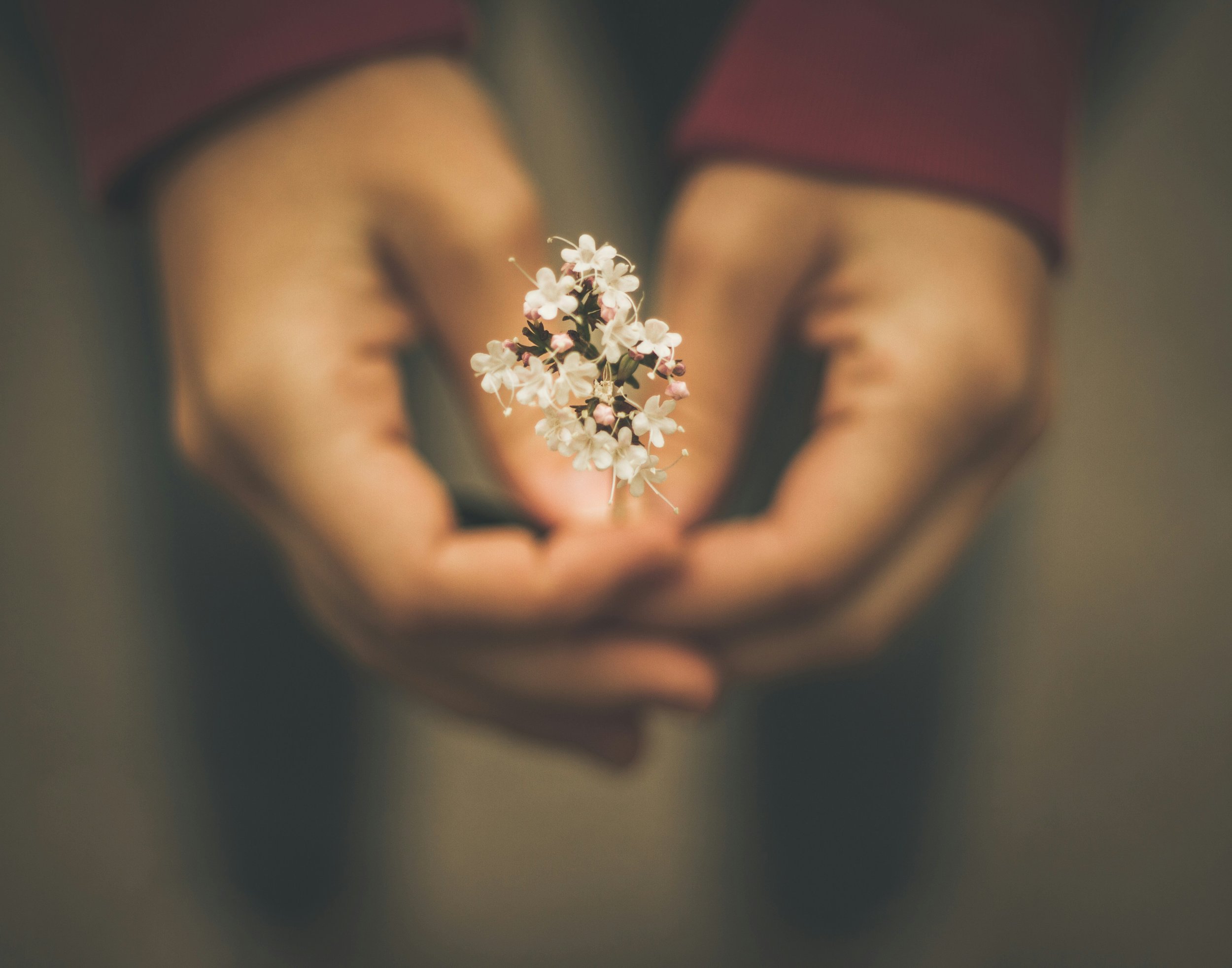 Naturopathic Check-In — $115