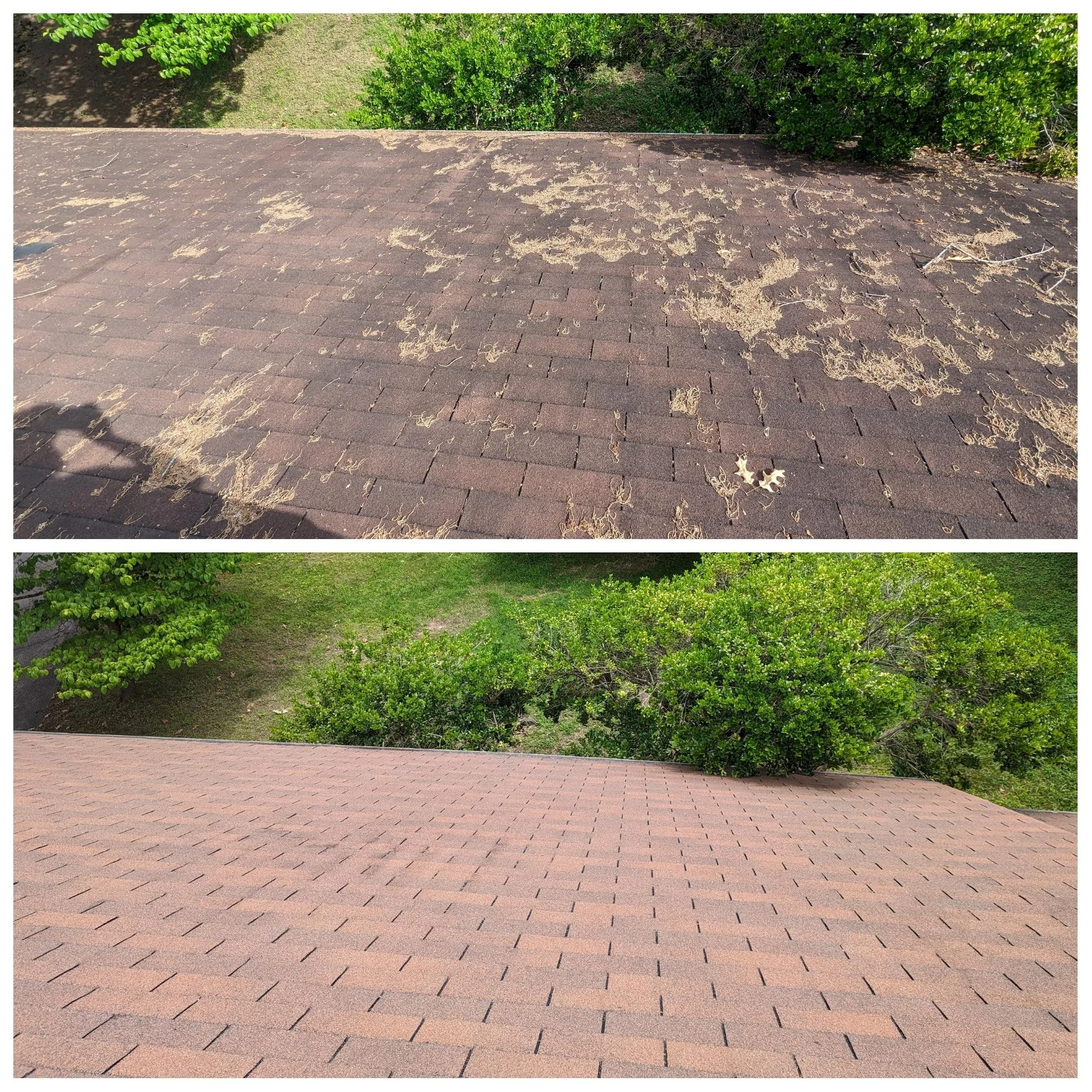 Roof and Concrete Cleaning in Kodak, TN
