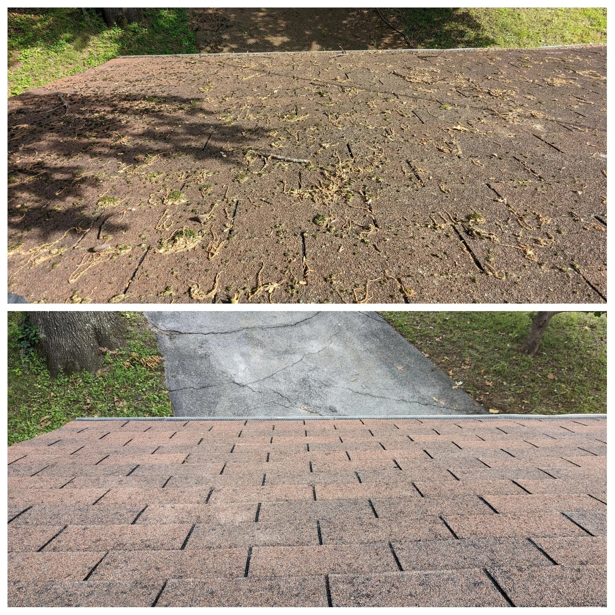 Before and after roof cleaning in Kodak, TN showing debris, organic buildup, and surface staining removed from asphalt shingles for a cleaner, more even roof appearance.