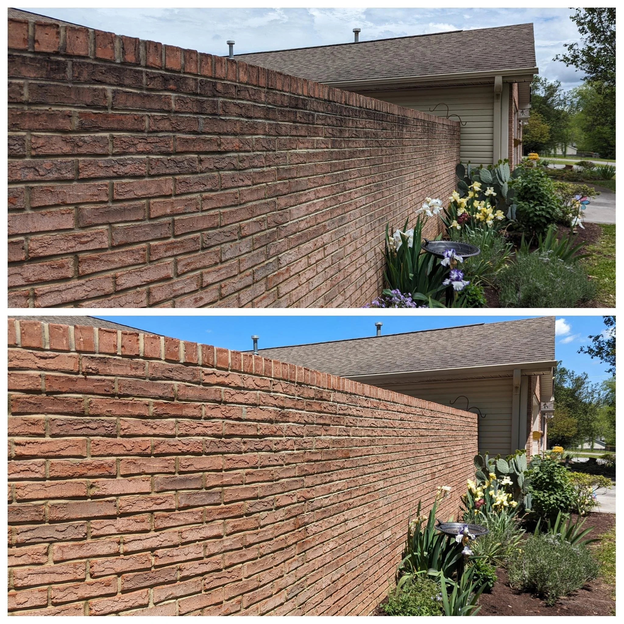 patio10.jpg