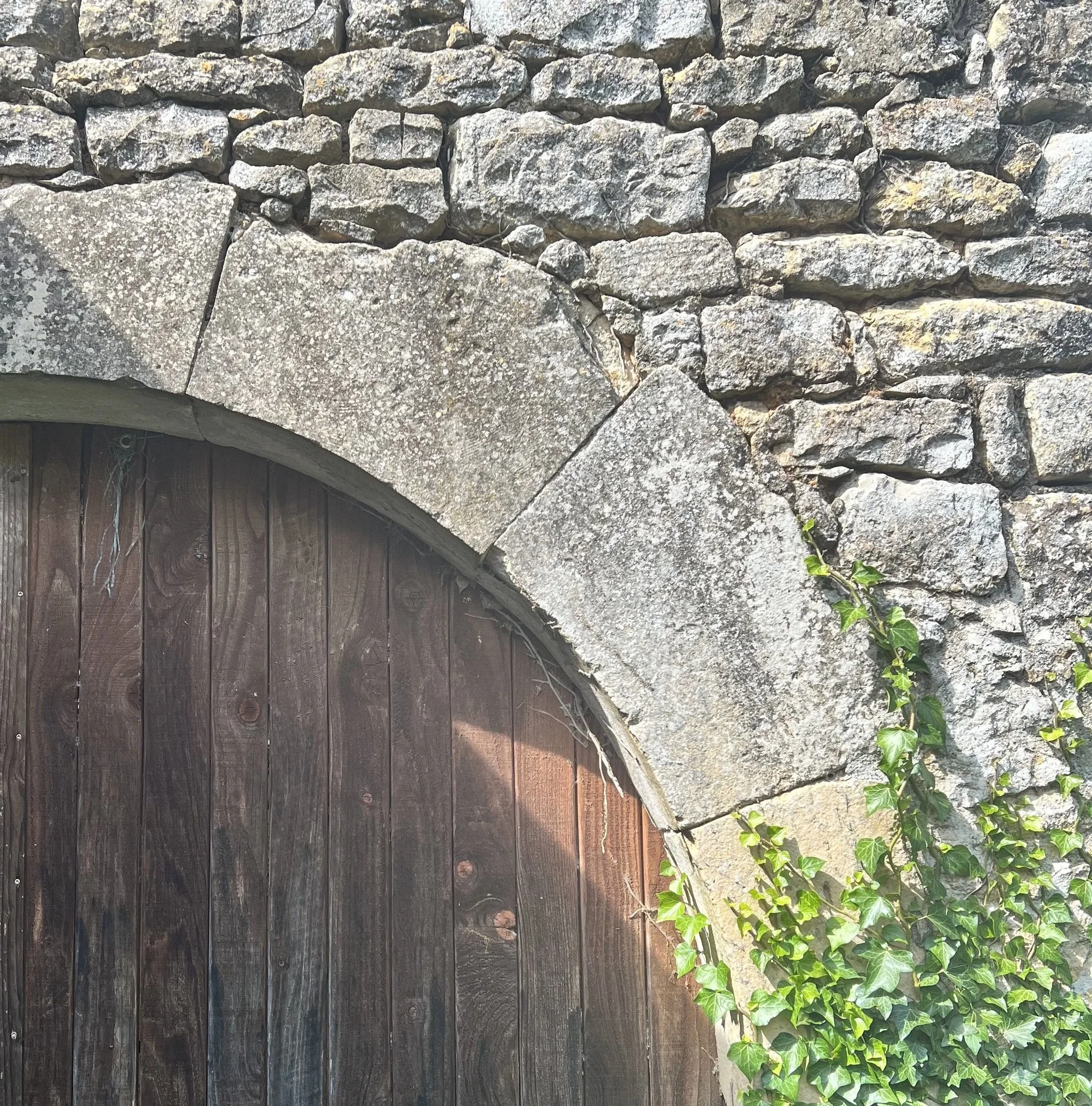 Un mur en pierre avec un arc en bois à la base, entouré de plantes vertes. Soir.