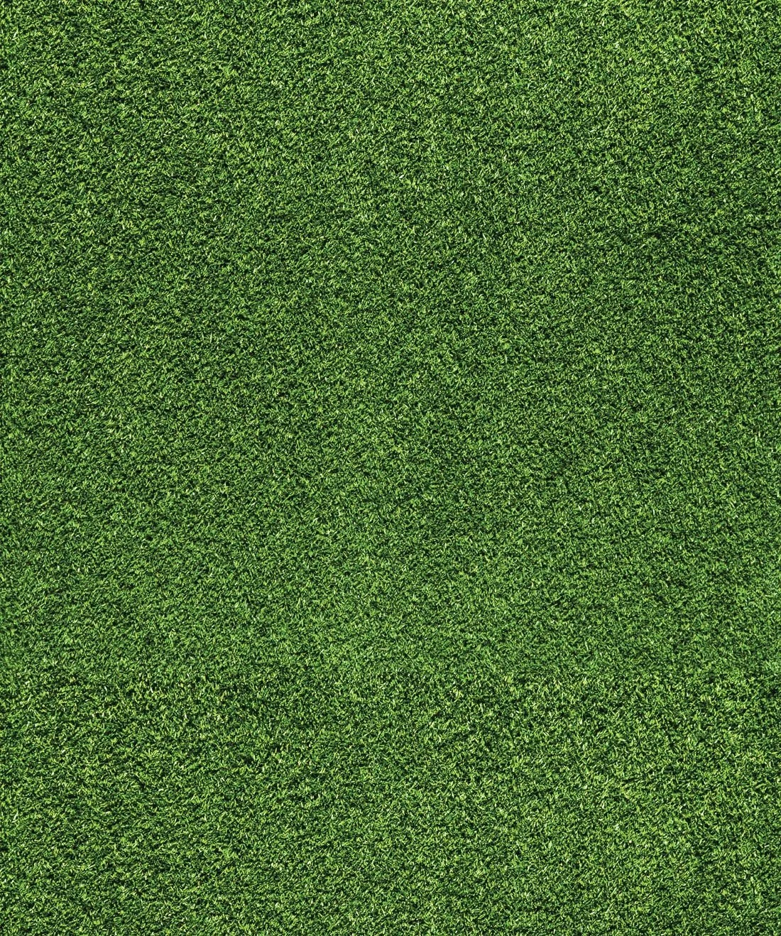 Wallpaper-Kemra-ArtificialTurf-1.jpg