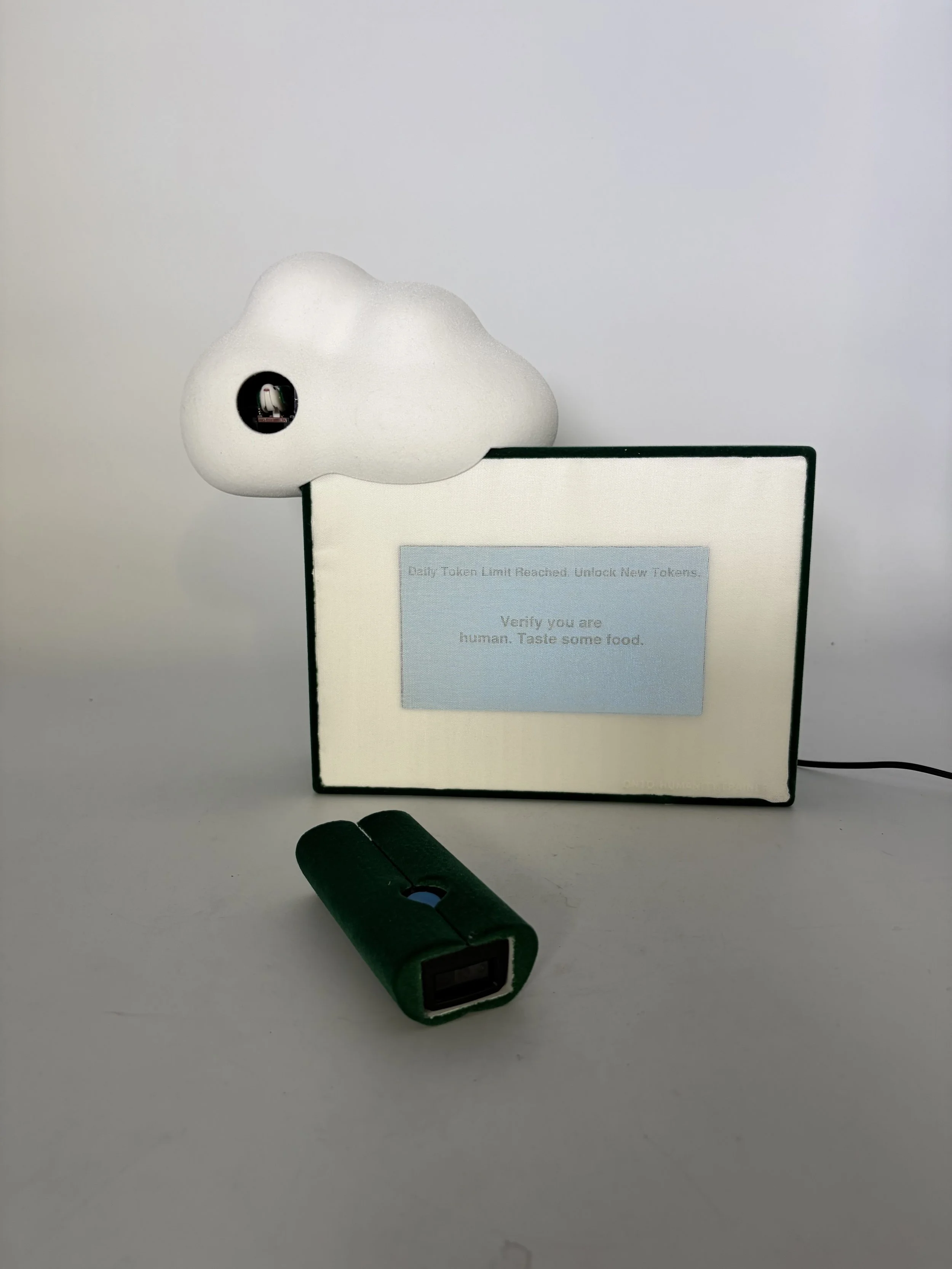 IMG_6872.jpeg