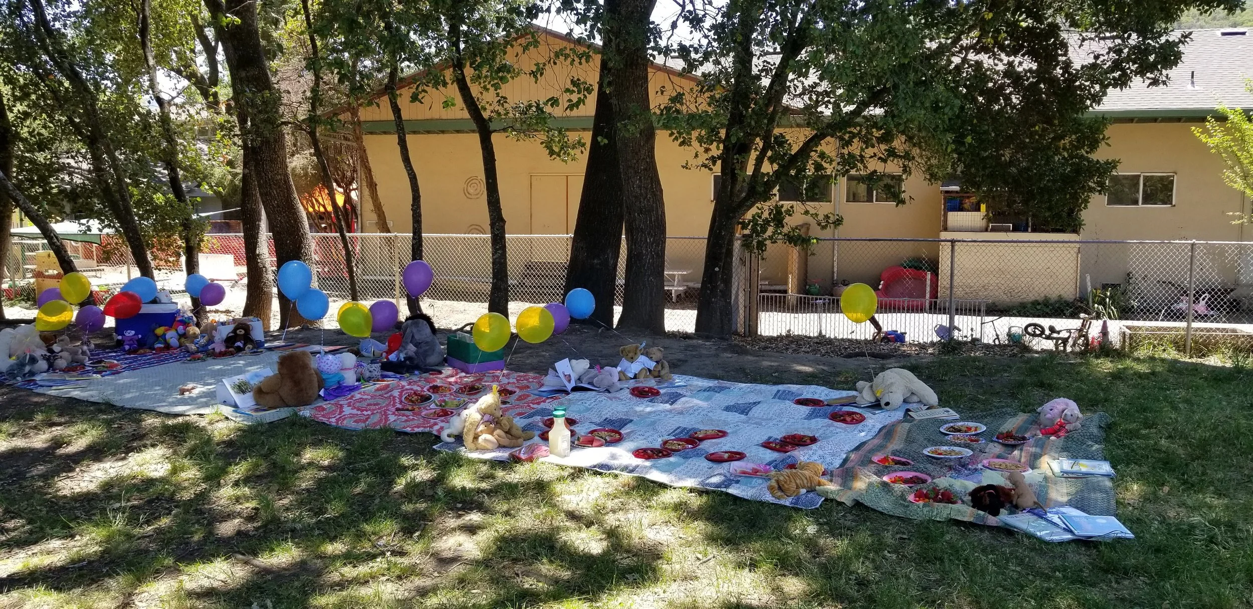 20180613_132344.jpg