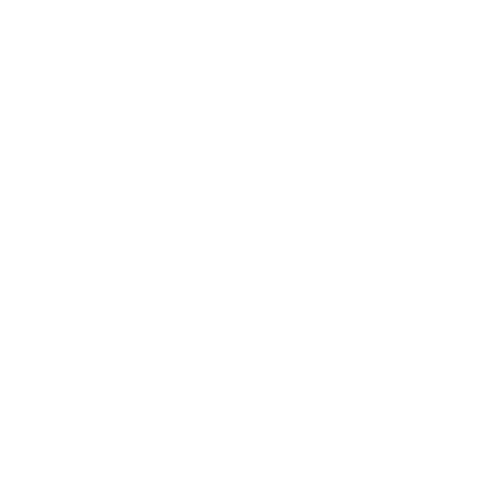 conifer.png