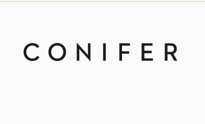 conifer