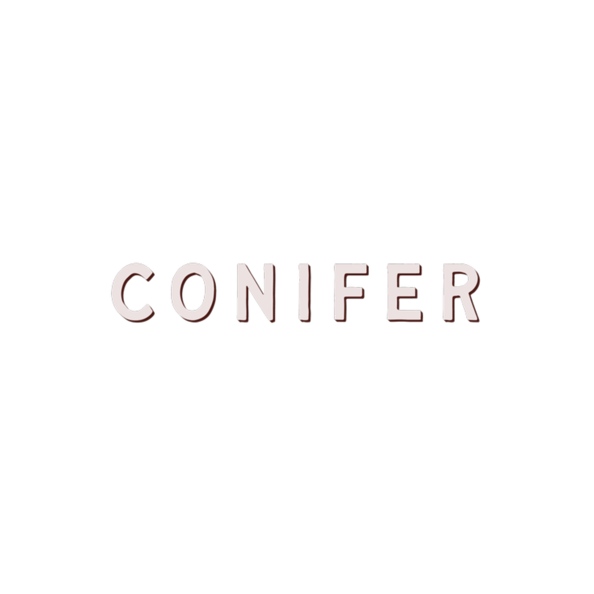 conifer
